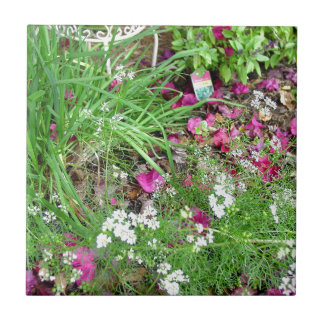 Carreau Art de photographie de ciboulette de collection