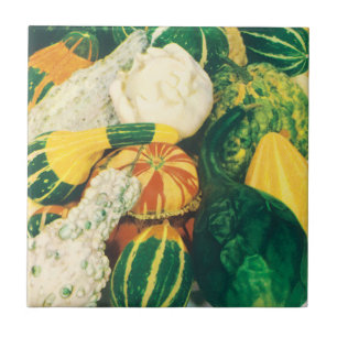 Carreau Art de pochette de graines vintage, gourdes et cou