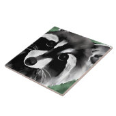 Carreau Art de raton laveur (Côté)