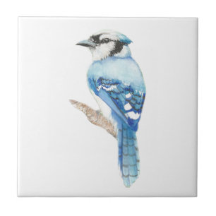 Carreau Art d'oiseau de geai bleu d'aquarelle
