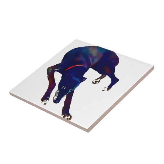 Carreau Art Greyhound (Côté)