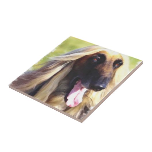 Carreau Art Hound afghan (Côté)