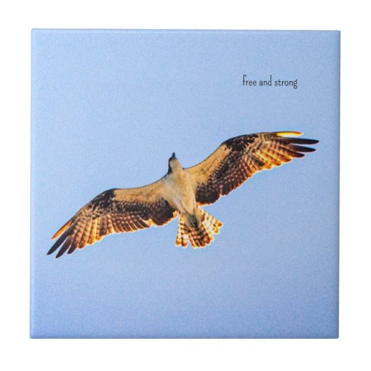 Carreau Art Osprey gratuit (Devant)