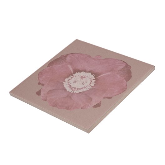 Carreau Art rose rustique de fleur (Côté)