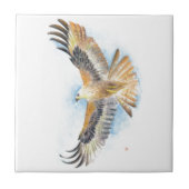 Carreau Art rouge de faucon de queue (Devant)