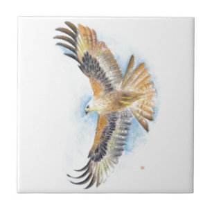 Carreau Art rouge de faucon de queue