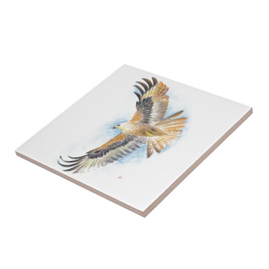 Carreau Art rouge de faucon de queue (Côté)