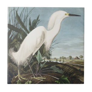 Carreau Art Vintage d'Audubon sur l'Aigrette neigeuse, Hér