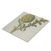 Carreau Artichaut : Scolymus de Cynara, c.1568 (Côté)