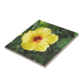 Carreau Articles jaunes d'art d'usine de ketmie (Côté)