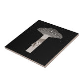 Carreau Ascends-Moi, Scooty (Côté)