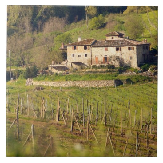 Carreau Aschuito, une ferme qui accueille les clients, (Devant)