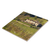 Carreau Aschuito, une ferme qui accueille les clients, (Côté)