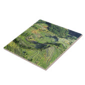 Carreau Asie, Chine, Yunnan, Yuanyang. Motif de vert (Côté)