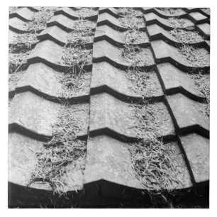 Carreau Asie, Japon, Miyajima. Détail du toit en argile