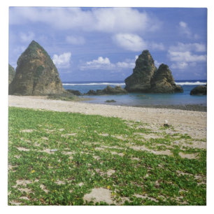 Carreau Asie, Japon, Okinawa, littoral de Yambaru, mer