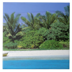 Carreau Asie, Maldives. Atoll North Male