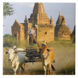 Carreau Asie, Myanmar (Birmanie), Bagan (Pagan). Un chario