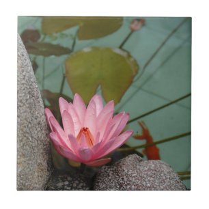 Carreau Asie, Viêt Nam. Nénuphar dans un étang de temple