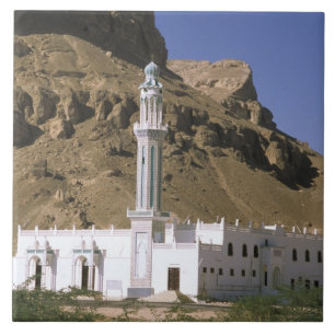 Carreau Asie, Yémen, Tarim. Mosquée blanche.