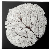 Carreau Aspen Feuille Squelette 1 (Devant)