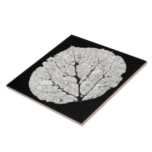Carreau Aspen Feuille Squelette 1