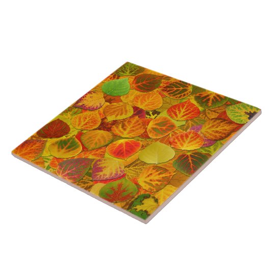 Carreau Aspen laisse à collage le mélange solide 1 (Côté)