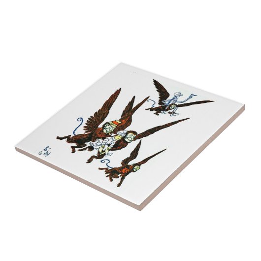 Carreau Assistant d'Oz (Côté)