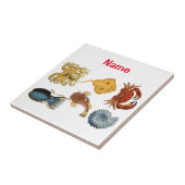 Carreau Association d'apaces de mer uniques Thunder_Cove (Côté)