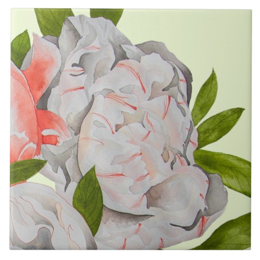 Carreau Assorted Peonies on a Ceramic Tile (D) (Devant)