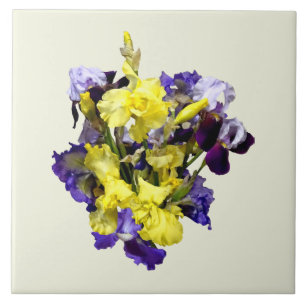 Carreau Assortiment d'Irises jaune et violet