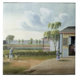 Carreau Assortissant le thé (la semaine sur le papier)