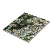 CARREAU ASTER FLOWERS (Côté)