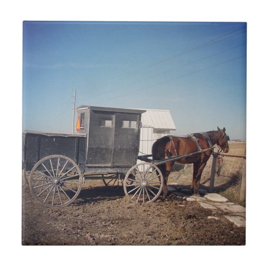 Carreau Attente Amish Cheval et Buggy (Devant)