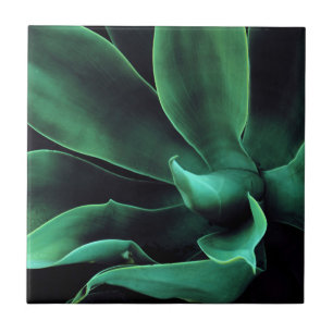 Carreau Atténuata Agave Vert