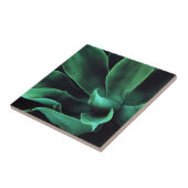 Carreau Atténuata Agave Vert (Côté)