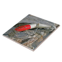 Attrait roux de Pikie joint par chabot de crique -