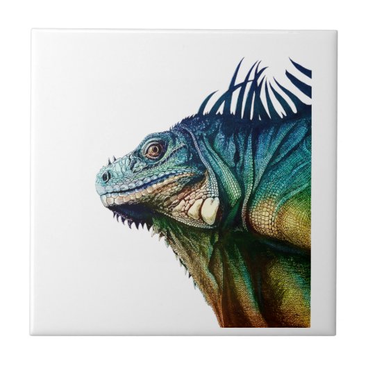 CARREAU ATTRAPÉ EN QUELQUES MOMENTS (Devant)