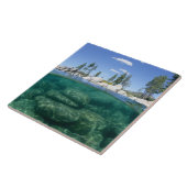 Carreau Au-dessus et au-dessous du lac Tahoe (Côté)