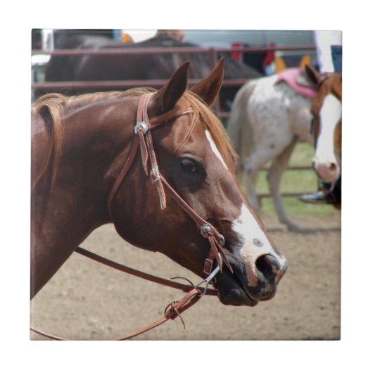Carreau Au Horse Show (Devant)