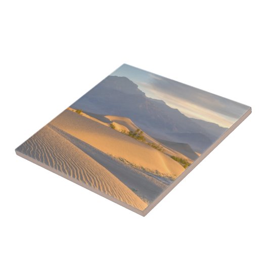 Carreau Aube de désert (Côté)