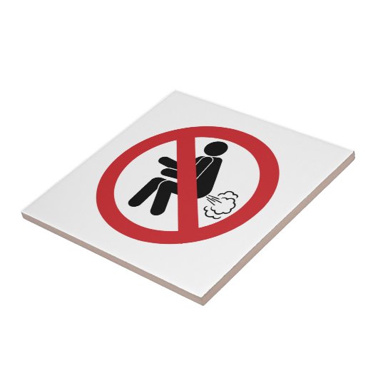 Carreau AUCUN ⚠ Drôle Toilette Thaïlandaise ⚠ (Côté)