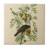 Carreau Audubon American Crow Black Bird (Devant)
