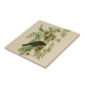 Carreau Audubon American Crow Black Bird (Côté)