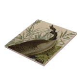 Carreau Audubon Canada Oies Oiseaux sauvages (Côté)