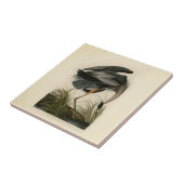 Carreau Audubon Great Blue Heron Marsh Bird (Côté)
