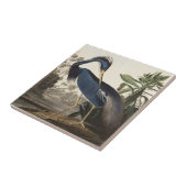 Carreau Audubon Louisiana Heron Birds of America Art Impri (Côté)
