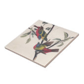 Carreau Audubon Peint Bunting Bird Wildlife (Côté)