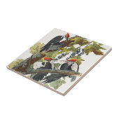 Carreau Audubon Peinture d'Oiseaux Pic Pilé (Côté)