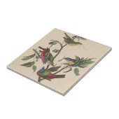 Carreau Audubon Vibrant Peint Bunting Faune Peinture (Côté)